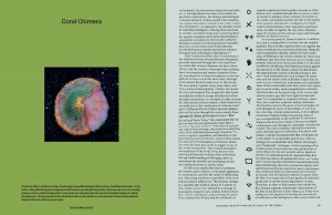 https://p-u-n-c-h.ro/files/gimgs/th-3577_Collective_Intelligence_final_spreads-17 copy.jpg